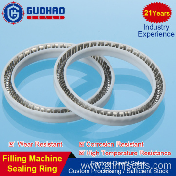 Chemical Corrosion Resistant Piston Seal Ring PTB Bore